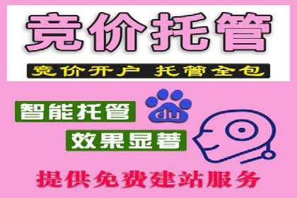 SEM代理服务在某企业的应用实践